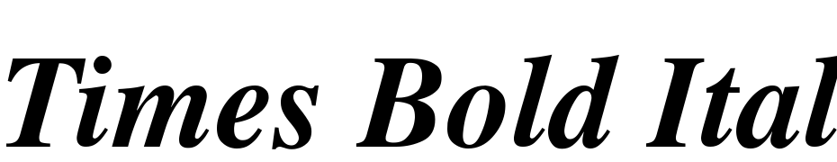 Times Bold Italic Yazı tipi ücretsiz indir